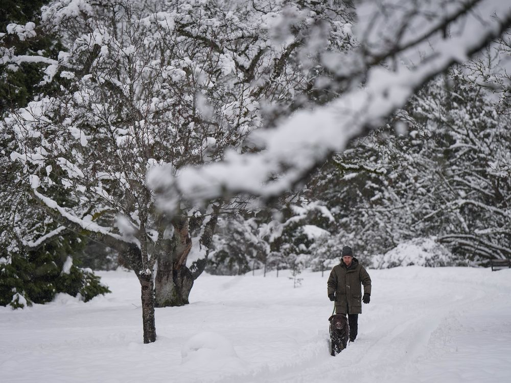 天气系统可能给温哥华地区带来降雪，强风可能引发