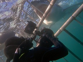 photo of Nick Hawkins in shark tank