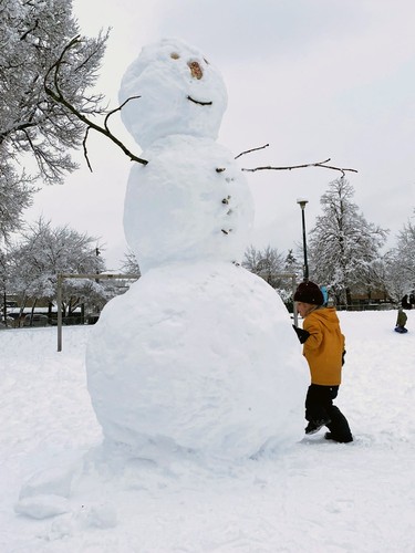 Building a snowman at Robson Park in Vancouver, B.C. on Jan. 17. 2024. Photo credit: Paul Chapman. Vancouver Snow Day 2024.