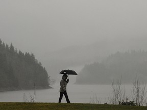 Rain North Shore