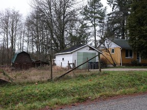 Boarded-up houses in Surrey.