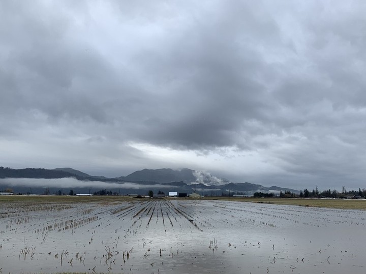  Melting snow and rain have created a big puddle in a field in Abbotsford. Environment Canada is predicting a series of atmospheric rivers starting this weekend.