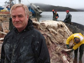 Dr. Mark Engstrom, now curator emeritus at the Royal Ontario Museum, is seen here in 2014 with the carcass of a blue whale in Woody Point, Newfoundland.