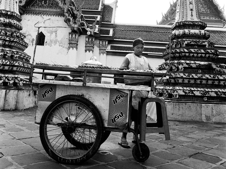  A food cart vendor (serving grilled squid) inside the grounds of Wat Pho, Bangkok.