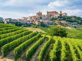 The beautiful village of La Morra and its vineyards in the Langhe region of Piedmont, Italy. Italy has been at or near the centre of wine almost from the first accidental fermentation over 8,000 years ago and most certainly since Roman times.