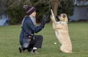 Memphis the dog