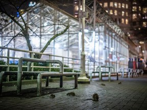 Rodents gather outside of the Burrard SkyTrain Station in Vancouver on Wednesday, Feb. 7, 2024.