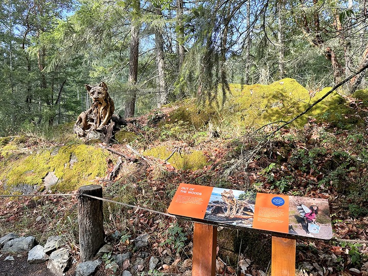  Cougar by Tanya Bub is one of the sculptural driftwood creatures you will see on the walk.