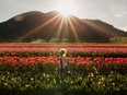 botanical flower festival