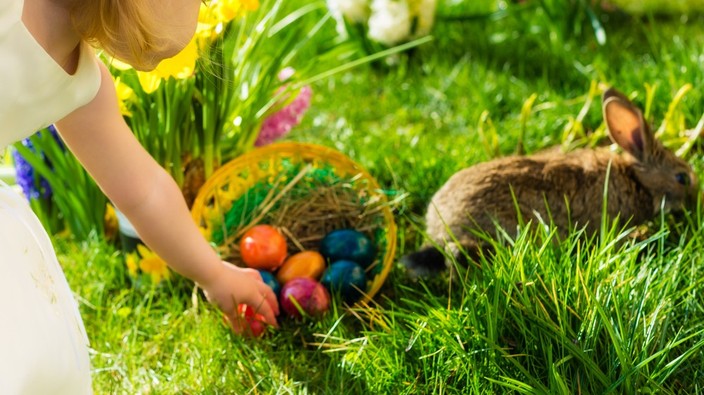 Sunshine in the forecast for Easter long weekend in Metro Vancouver