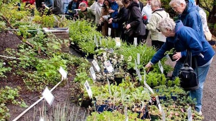 The ultimate guide to plant and seed sales in B.C. this spring