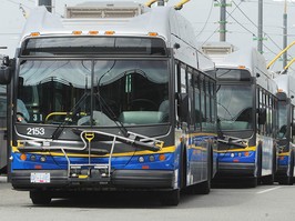 TransLink buses