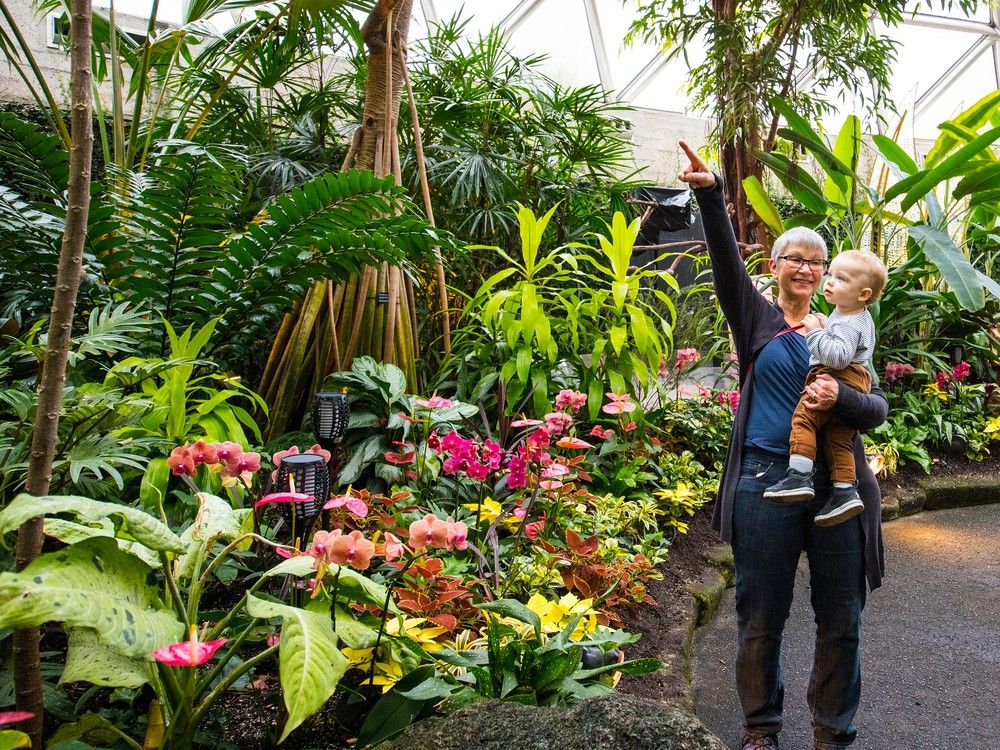 Victoria Day is a federal stat holiday but there are lots of places open, including the Bloedel Conservatory in Vancouver. Victoria Day is a federal stat holiday but there are lots of places open, including the Bloedel Conservatory in Vancouver.