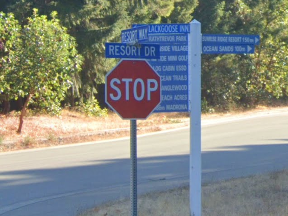 Resort Drive Advocacy Group screen shot 2024 03 27 at 5 30 49 pm 284221550