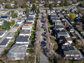 Cherry blossom trees line a residential street in Vancouver, on Tuesday, April 4, 2023.The Real Estate Board of Greater Vancouver says new listings were up in February as home sellers shed some of their hesitance and home sales also rose.