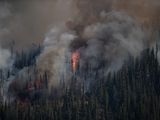 B.C.'s lack of snowfall fuels drought, wildfire concerns