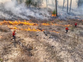 A prescribed burn near Kettle River in B.C.