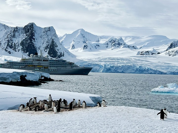  Silversea Silver Endeavour stops in a quiet bay of the Antarctic Peninsula where passengers are greeted by a thriving penguin colony.