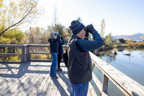 Birders at Rotary Marsh