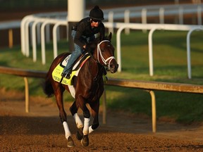 Fierceness trains during morning workouts ahead of the 150th running of the Kentucky Derby at Churchill Downs on May 2 in Louisville.