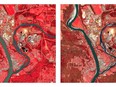 Side-by-side handout images, shown in infrared, taken by the European Space Agency's Sentinel-2 satellite show the Quesnel River as it meets the Fraser River in Quesnel, B.C., in May 2023, left, compared with May 2024.THE CANADIAN PRESS/HO, European Union, Canadian Space Agency *MANDATORY CREDIT*