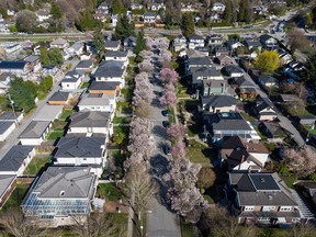 Houses on a residential street in Vancouver, B.C.