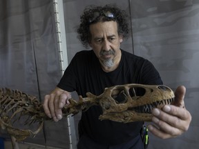 Una nueva exhibición de la UBC ofrece un vistazo a la vida de los dinosaurios antes de la extinción.