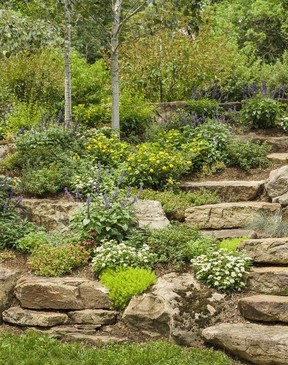 brian minter gardening