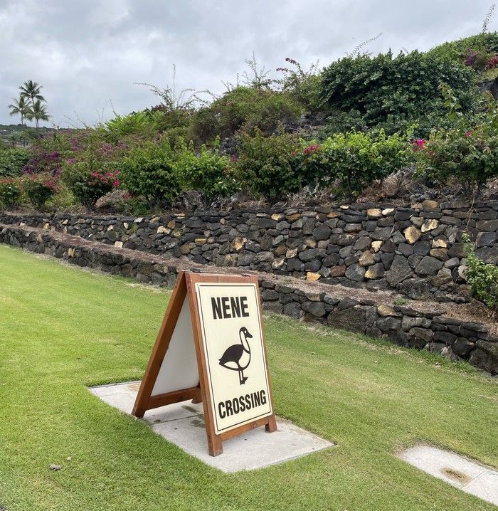 Nene Crossing signs are displayed along the roads of the Hokulia residential community.