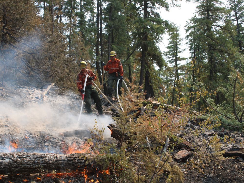 B.C. commits to earlier, enhanced pensions for wildfire fighters