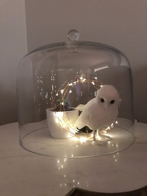 Have fun creating vignettes around your home for the holidays.