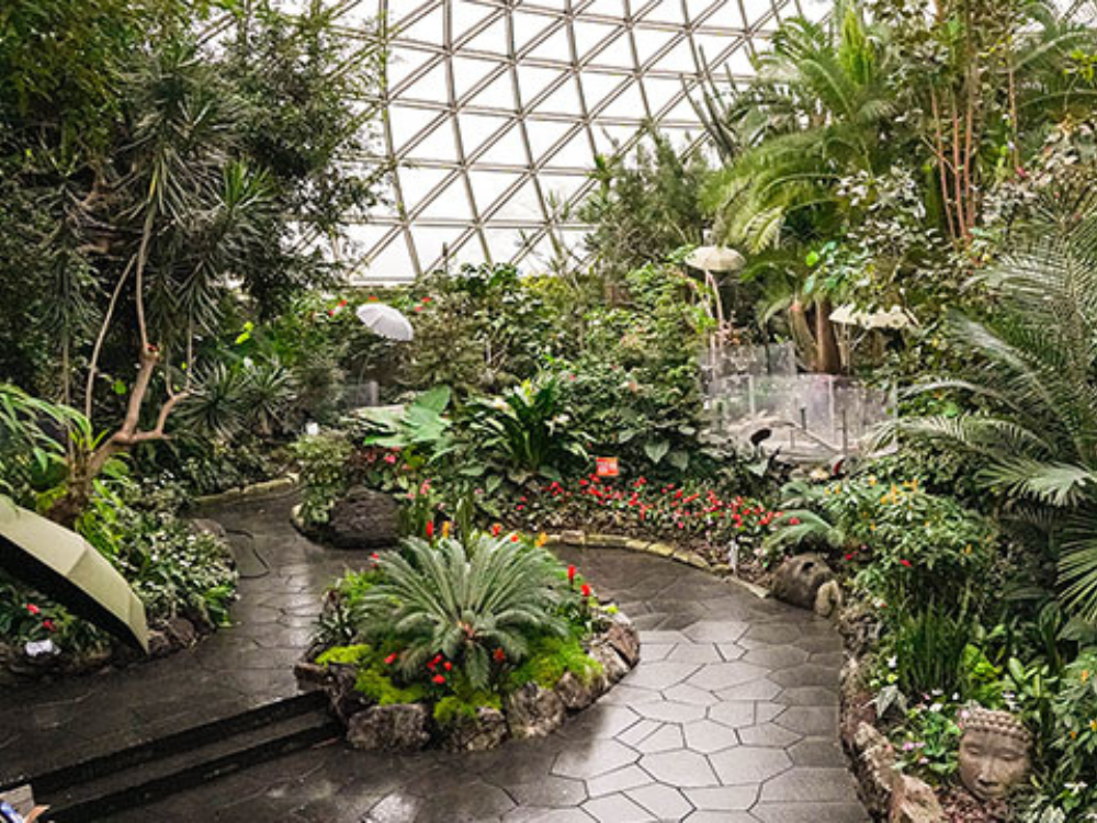 Vancouver’s Bloedel Conservatory reopens after accessibility upgrades