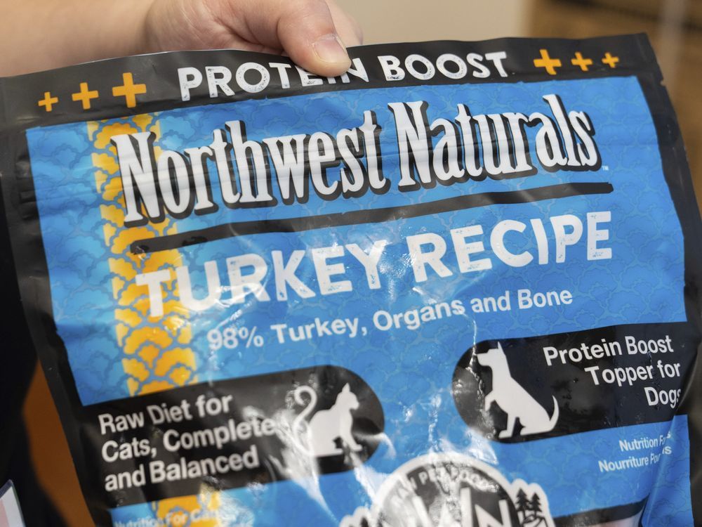 U.S. pet food infected with bird flu sold in B.C., recalled after cat died