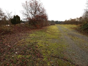 Undeveloped land intended for development.