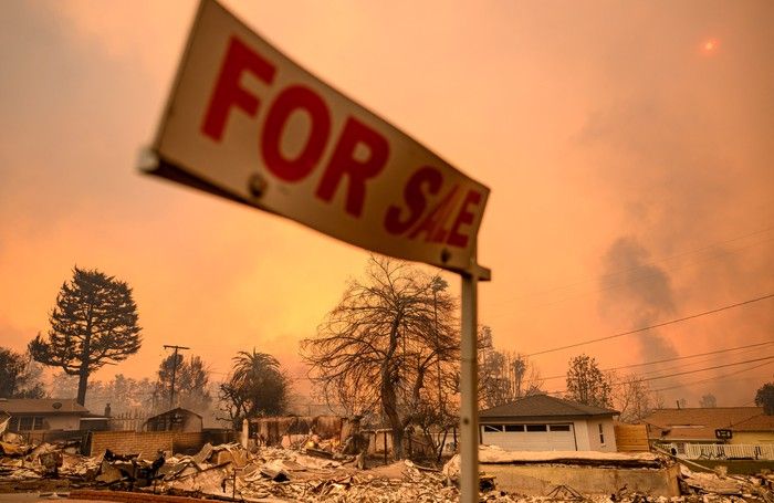 la fires photos