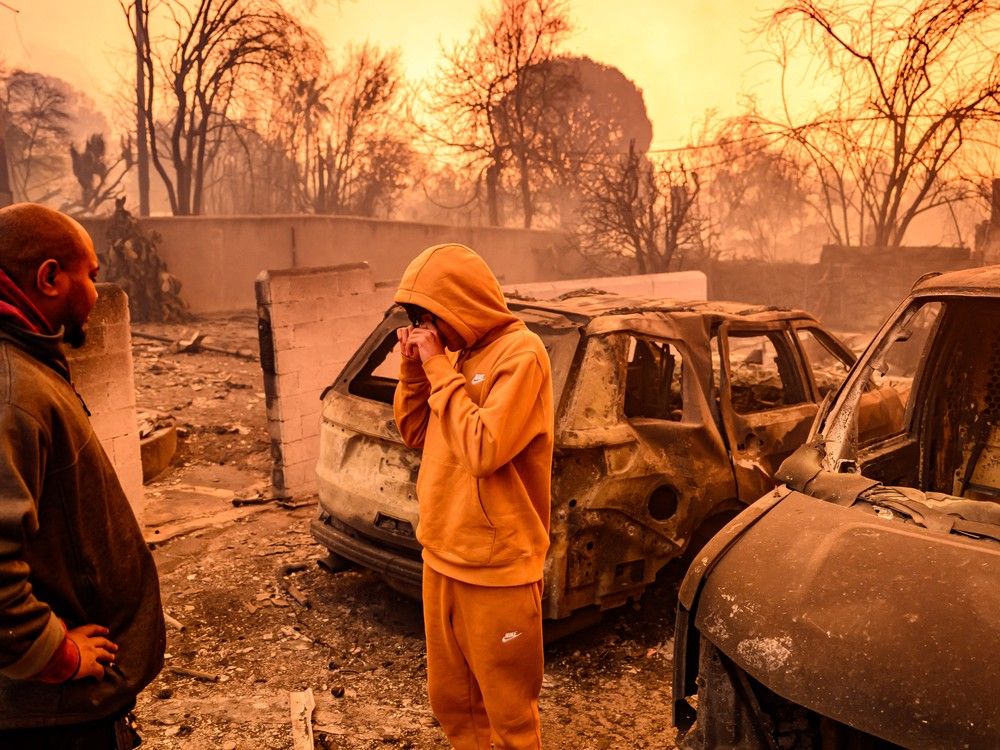 la fires photos