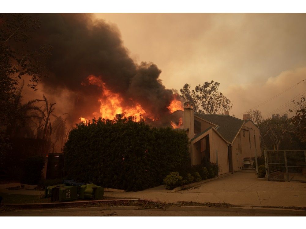 la fires photos