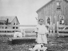 Photo from The Teachings of Mutton: A Coast Salish Woolly Dog