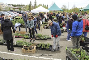David Douglas Botanical Garden Society Spring Plant Sale