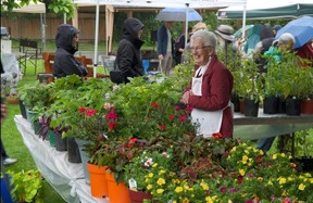 Gwynne Vaughan Park Annual Plant Sale