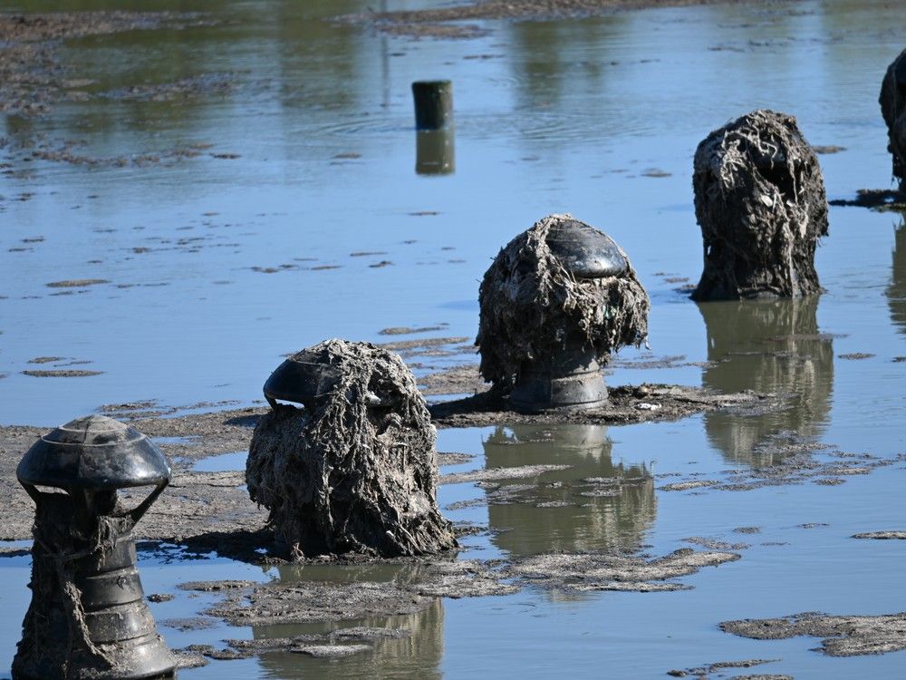 A photo showing how so-called flushable wipes and masks clogged aerators at a regional sewage treatment plant in Nova Scotia. A photo showing how so-called flushable wipes and masks clogged aerators at a regional sewage treatment plant in Nova Scotia.