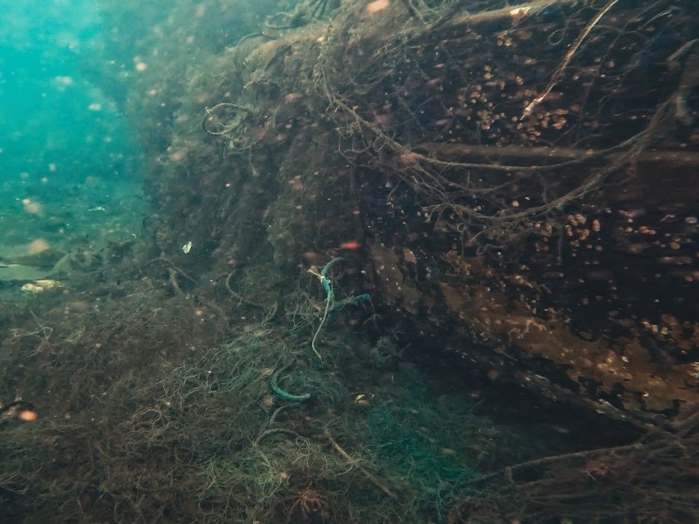 Handout screenshot from a film called Untangling an Ocean Alert Bay. Abandoned, lost or otherwise discarded fishing gear (also known as 'ghost gear') poses a huge threat to marine wildlife and the fishing industry alike. Handout screenshot from a film called Untangling an Ocean Alert Bay. Abandoned, lost or otherwise discarded fishing gear (also known as 'ghost gear') poses a huge threat to marine wildlife and the fishing industry alike.