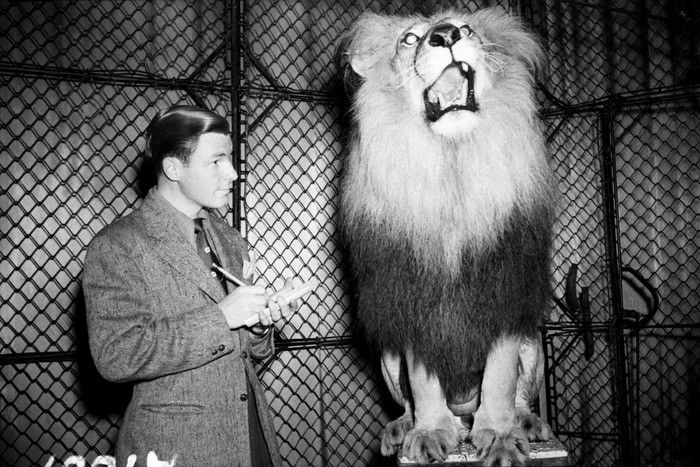   Les cirques étaient populaires à Vancouver pendant des décennies. Ici, Bill Fletcher du Vancouver News-Herald interviewe un lion se produisant au Beacon Theatre, juillet 1943. Jack Lindsay Vancouver Archives AM1184-S3-: CVA 1184-738
