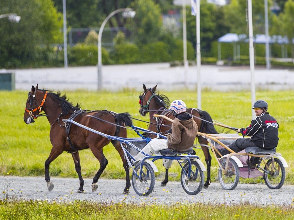 File photo: Fraser Downs racetrack in Surrey.