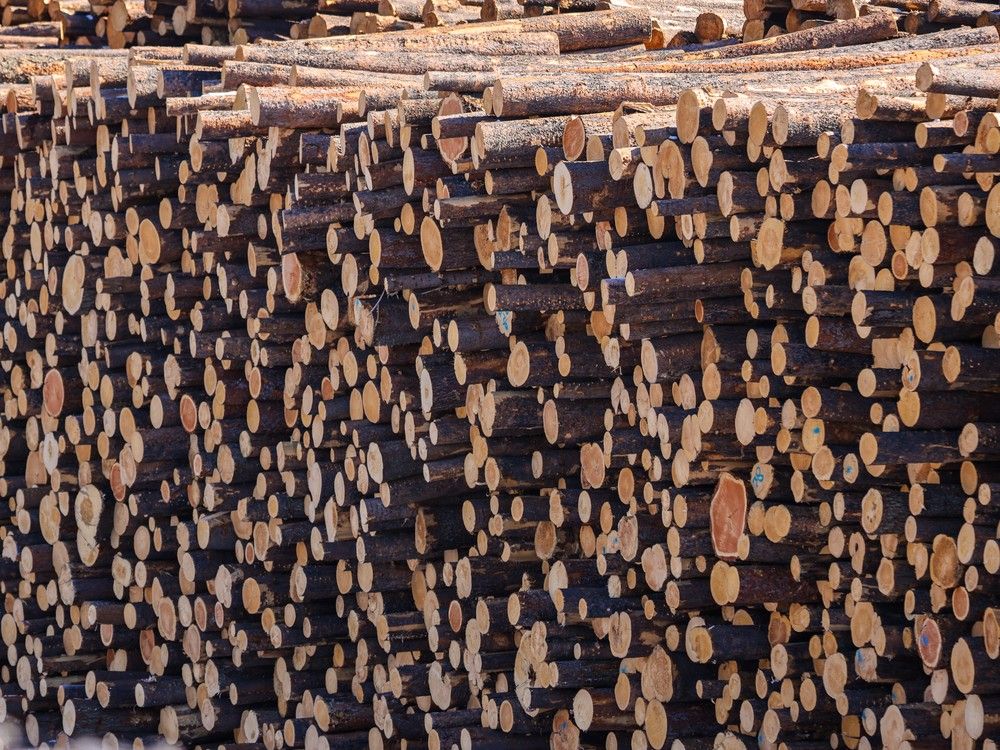 Kelowna-based company buys Princeton lumber mill from forestry giant Weyerhaeuser