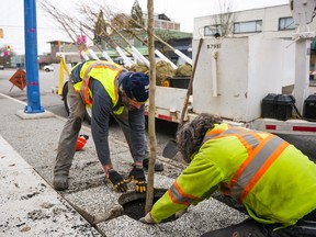 Tree planting by the City of Vancouver along East Hastings in one of the area's of Vancouver with the smallest tree canopy.