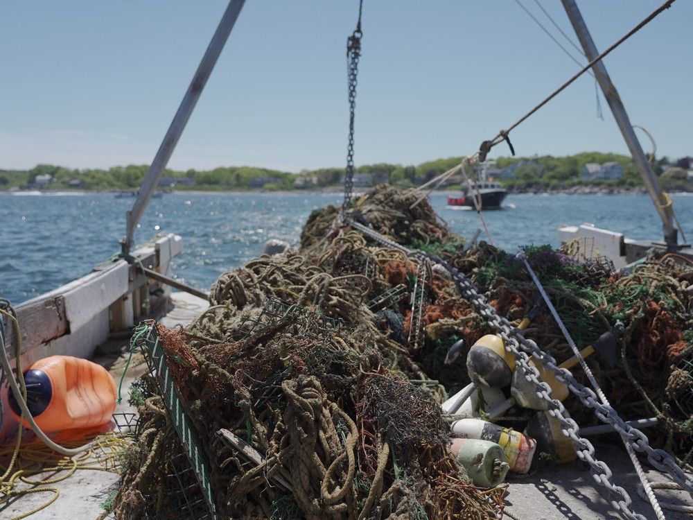 MAINE, USA: Ghost gear removal in Maine, USA, 2019. Ocean Conservancy’s Global Ghost Gear Initiative (GGGI), has partnered with local Emerald Sea Protection Society to carry out ghost gear / ghost fishing gear removal projects near Vancouver Island have been documented in a film called Untangling an Ocean Alert Bay. Photo credit: Matt Gilbert + Ocean Conservancy. MAINE, USA: Ghost gear removal in Maine, USA, 2019. Ocean Conservancy’s Global Ghost Gear Initiative (GGGI), has partnered with local Emerald Sea Protection Society to carry out ghost gear / ghost fishing gear removal projects near Vancouver Island have been documented in a film called Untangling an Ocean Alert Bay. Photo credit: Matt Gilbert + Ocean Conservancy.