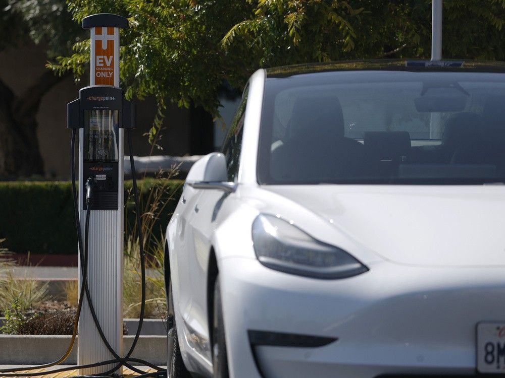 Although B.C. remains a leader within Canada, with electric vehicles accounting for 22.4 per cent of new vehicles sold, that rate remained largely static in both 2023 and 2024.