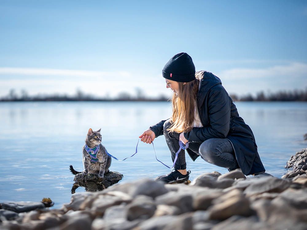 Some cats thrive outdoors and can even go on adventures like camping and boating with the family.