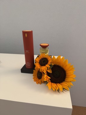 The new Dyson Omega hair care products.